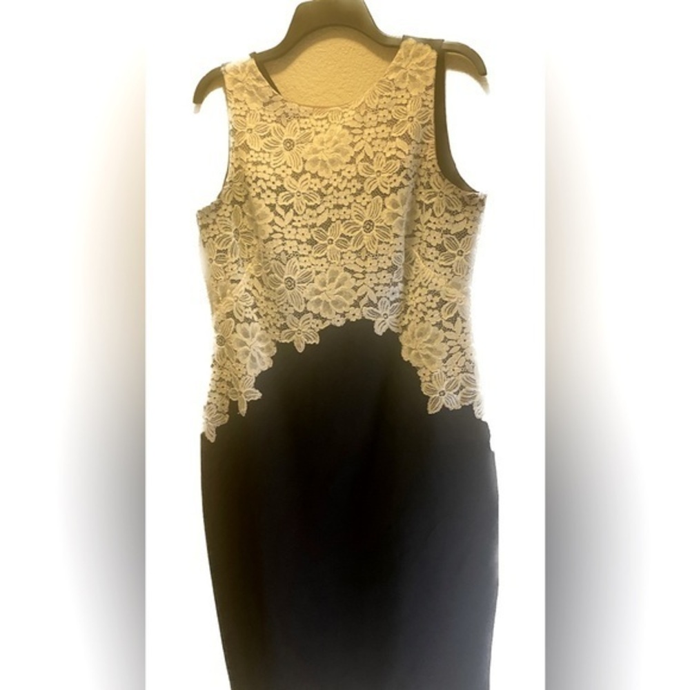 Lauren Ralph Lauren Lace Bodice Color Block Dress